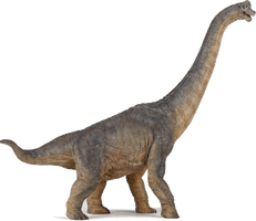 Diplodocus PNG Image High Quality