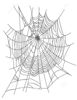 Web Spider Illustration Creative Euclidean Vector Cartoon - Free PNG