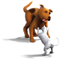 Sims Carnivoran Tail Cats Pets Dogs - Free PNG