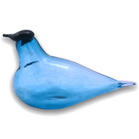 Ocean Birds Photos PNG Free Photo