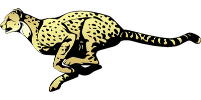 Cheetah Transparent - Free PNG