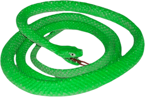 Green Snake Image - Free PNG