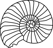 Seashell Ammonites Dollar Sand Fossil Download HQ PNG