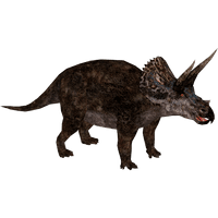 Triceratop Download PNG Free Photo