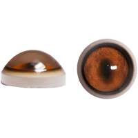 Fox Eyes Transparent Background - Free PNG