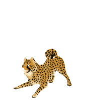 Cheetah Clipart - Free PNG