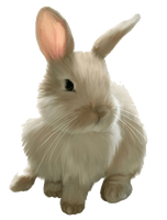 Easter Rabbit Image - Free PNG