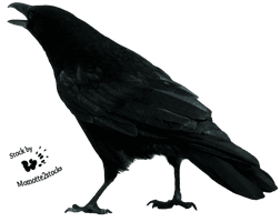 Crow Free Download Png