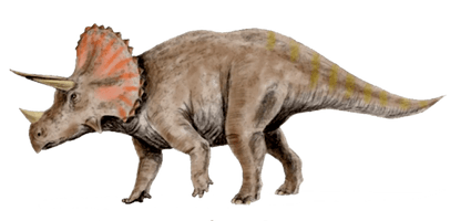 Triceratop Free HQ Image - Free PNG