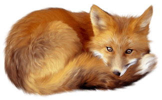 Artistic Fox Transparent - Free PNG