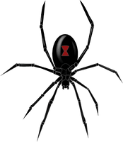 Black Widow Spider Clipart - Free PNG