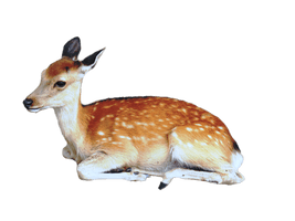 Cute Transparent Deer - Free PNG