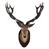 Deer Head Transparent - Free PNG