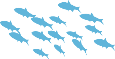 School Of Fish Hd - Free PNG