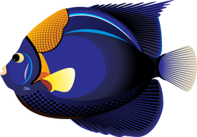 Ocean Fish Clipart - Free PNG