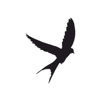 Tattoo Swallow Silhouette Bird Eagle Free Download PNG HD