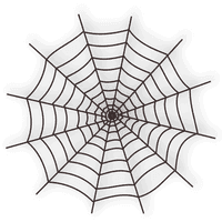 Spider Web - Free PNG