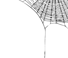 Spider Web - Free PNG