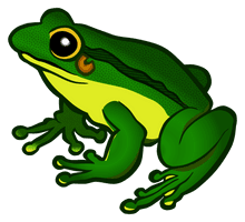 Frog Transparent Background - Free PNG