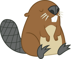 Beaver Photo - Free PNG