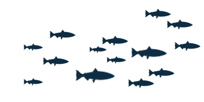 School Of Fish Transparent Background - Free PNG