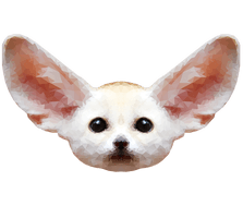 Fennec Fox Free Download - Free PNG