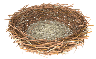 Nest Clipart - Free PNG