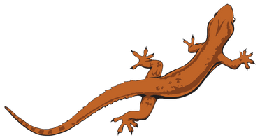 Lizard File - Free PNG