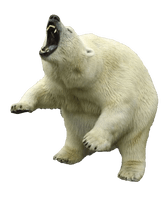 Polar Bear Clipart - Free PNG