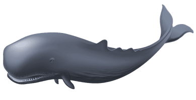 Blue Whale Clipart - Free PNG