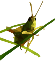 Grasshopper Free Download - Free PNG