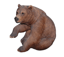 Bear Png 6