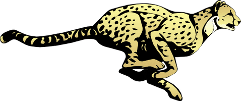 Cheetah Transparent Image - Free PNG