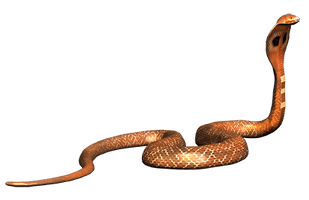 Snake - Free PNG