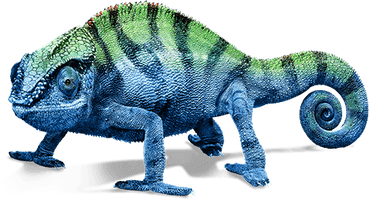 Chameleon Transparent Image - Free PNG