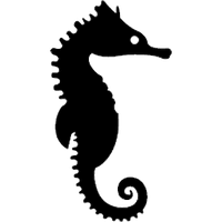 Seahorse Picture - Free PNG