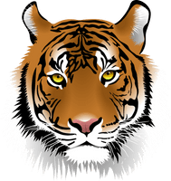 Tiger Face - Free PNG