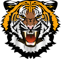 Tiger Face File - Free PNG