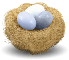 Nest Png Picture