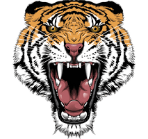 Tiger Face Transparent - Free PNG