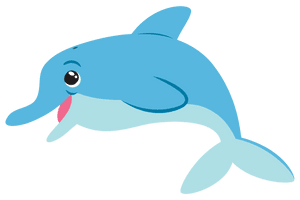 Dolphin Picture - Free PNG