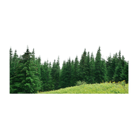 Picsart Forest Free HD Image - Free PNG