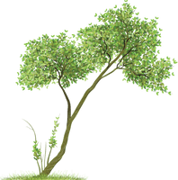 Vector Pic Picsart Forest Free Transparent Image HD - Free PNG