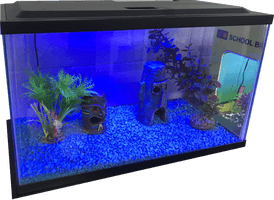 Blue Light Fish Tank Free Download PNG HD