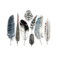 Watercolor Picture Feather PNG Free Photo