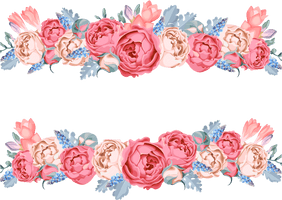 Vector Frame Flowers PNG Free Photo