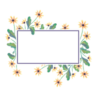 Chrysanthemum Frame Vector Flower Illustration PNG File HD