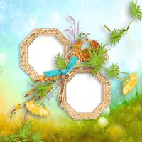 Picture Frame Flower Creative Icon Download Free Image - Free PNG