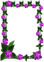 Frames Picture Frame Flower HD Image Free PNG