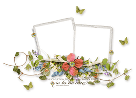 Picture Frame Vector Flower Euclidean Free Transparent Image HQ - Free PNG